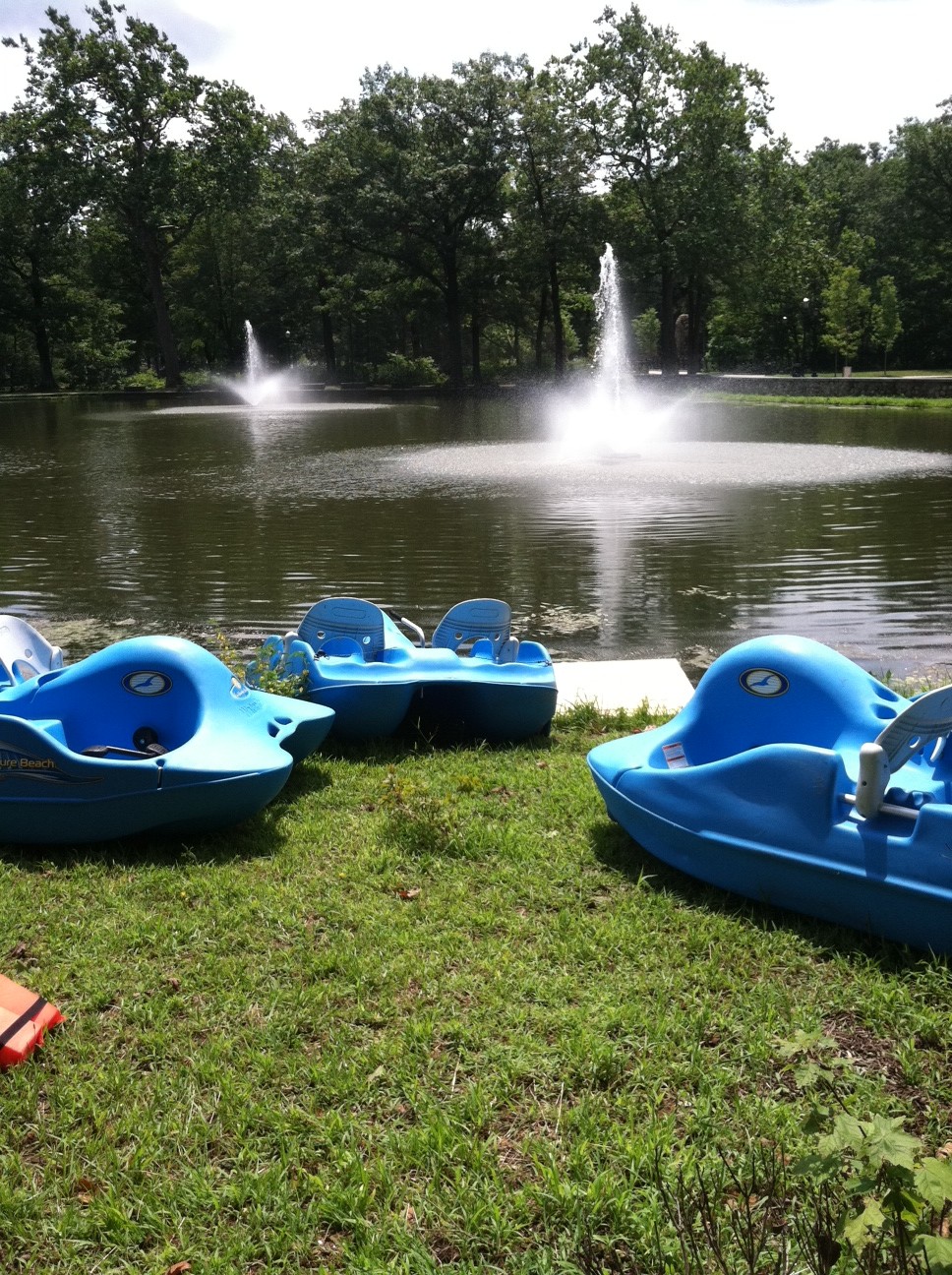 at Veterans' Memorial Park